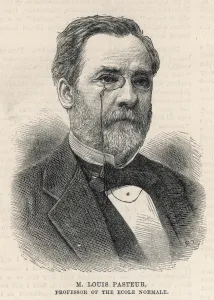 Cattle Prints: Portrait of Louis Pasteur