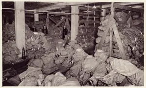 Communication Prints: Postal censorship during World War I