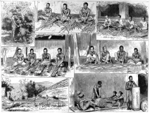 Drying Prints: The Preparation of Cinnamon in Ceylon