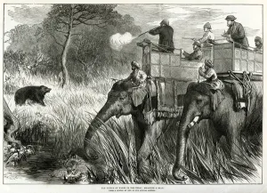 Elephants Prints: Prince of Wales in Nepal Terai, shooting bears 1876