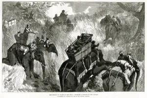 Elephants Prints: Prince of Wales in Nepal Terai, shooting bears 1876