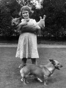 Queen Elizabeth II Prints: Princess Elizabeth and corgis