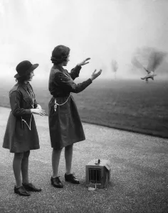 Princesses Prints: Princess Elizabeth uses the Pigeon Post