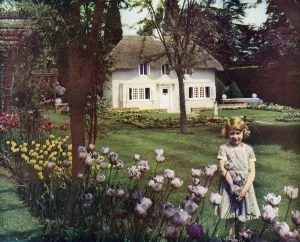 Cottage Prints: Princess Elizabeth of York at y Bwthyn bach to Gwellt