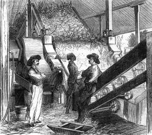 Indies Prints: Processing sugar cane, 1877