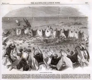 Unusual Prints: Quail catching in Syria 1862