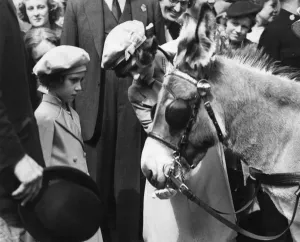 Donkey Prints: Queen Elizabeth II as a child with a donkey