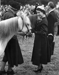 Interest Prints: Queen Elizabeth II and pony
