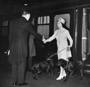 Balmoral Prints: Queen Elizabeth II returns from Balmoral with dogs