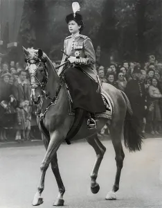 June Prints: Queen Elizabeth?s First Trooping the Colour 1952