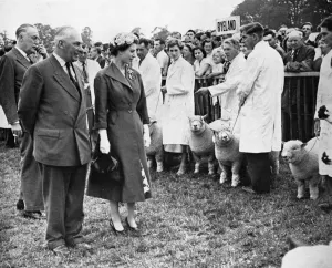 Judges Prints: The Queen inspects prizewinning sheep