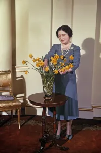 Vases Prints: Queen Mother arranging daffodils