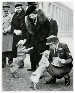 1940 Prints: The Queen and Princesses corgis, inspection of YMCA canteen