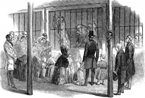 Visiting Prints: Queen Victoria and Prince Albert visiting Wombwells Menager