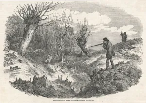 Rabbit Prints: Rabbit Shooting