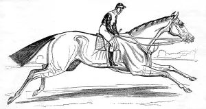 1835 Prints: The Racehorse Beeswing, 1842
