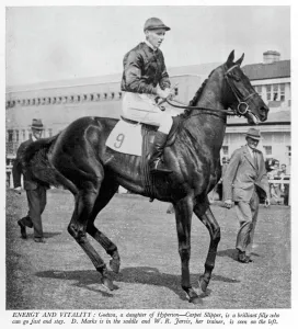 Animal Prints: The racehorse Godiva in 1940