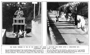 Terriers Prints: Racing terriers at the Du Var Kennels, French Riviera