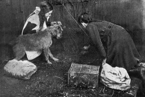 Feb16 Prints: Rat catching on the home front during WWI