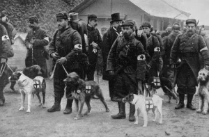 Dogs Prints: Red Cross Dogs 1915