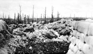 Wood Prints: The remains of Thipval wood