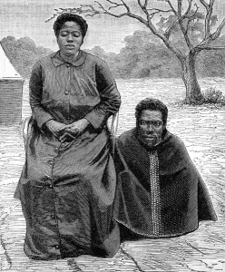 July Prints: The restoration of Cetshwayo