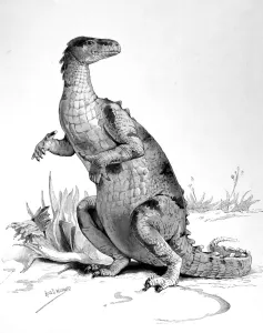 Legs Prints: Restored figure of the Iguanodon