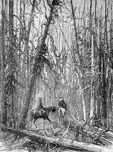 Riders in Yellowstone Park, 1888
