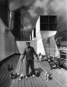 Cruise Prints: RMS Queen Mary, The Pets Promenade