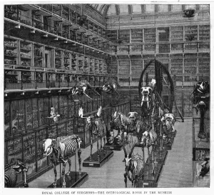 Museums Prints: Royal Coll. of Surgeons