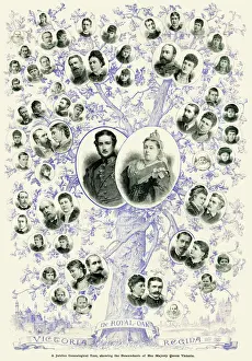 Wales Prints: The Royal Oak - Queen Victoria and descendents family tree