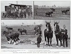 Bucks Prints: The Royal South Bucks ploughing match and agricultural show at Cippenham, 1913. 1