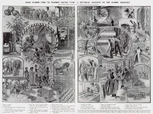 Interior Prints: Rubber Tree to Finished Motor Tyres 1907