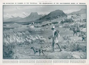 Drive Prints: Rural Scene, South Africa