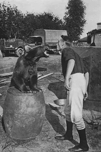 Fierce Prints: Russian soldier with regimental bear mascot, WW1