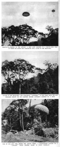 1955 Prints: S. A. S. parachute practice in the jungle