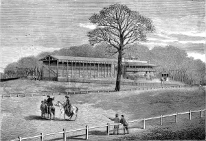 Newly Prints: Sandown Park Racecourse, 1875