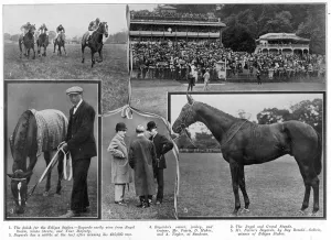 Owner Prints: At the Sandown races