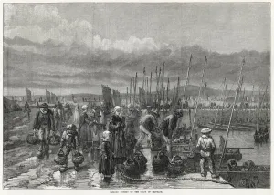 Fishing Prints: Sardine fishery at Brittany 1871