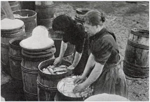 Packing Prints: Scotch Herring Women Workers 1902