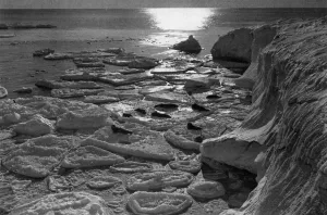 Antarctic Prints: Scott Polar Expedition 1910 - 1912 - seals and ice