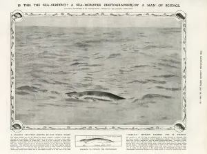 Marine Prints: A sea-monster photographed by a man of science