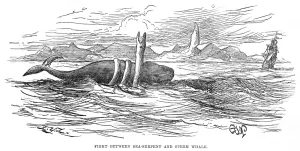 13th Prints: Sea Serpent / 1875 Brazil