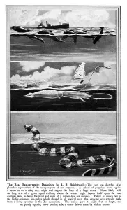 Mythical Prints: Sea Serpents