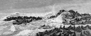 Rocks Prints: Seal Point, Bay of San Francisco, 1888
