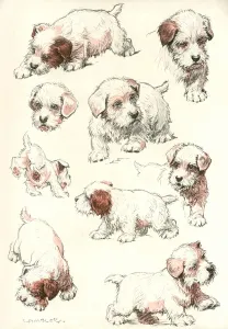 Puppies Prints: Sealyham Terrier Puppies