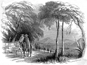 United Prints: The Second Mexican indemnity on its way to Vera Cruz, 1846