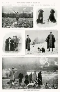 1899 Prints: The second working trials of the sporting spaniel club