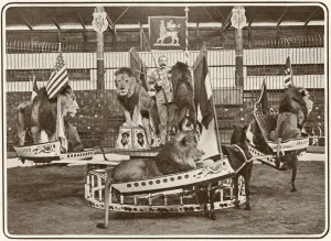 Lion Prints: Seeths lions in swing boats at the London Hippodrome
