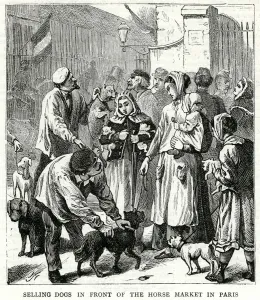 Selling Prints: Selling dogs for food 1871